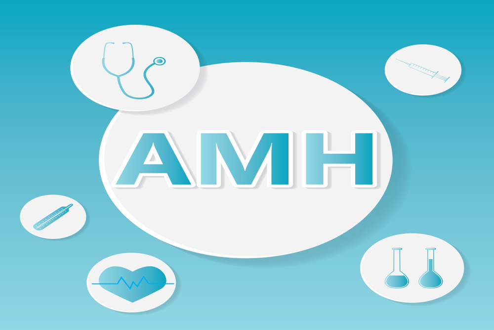 Understanding AMH: A Key Marker in Reproductive Health